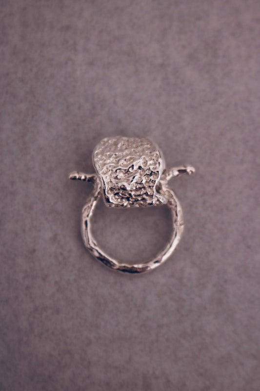 SPINNING RING