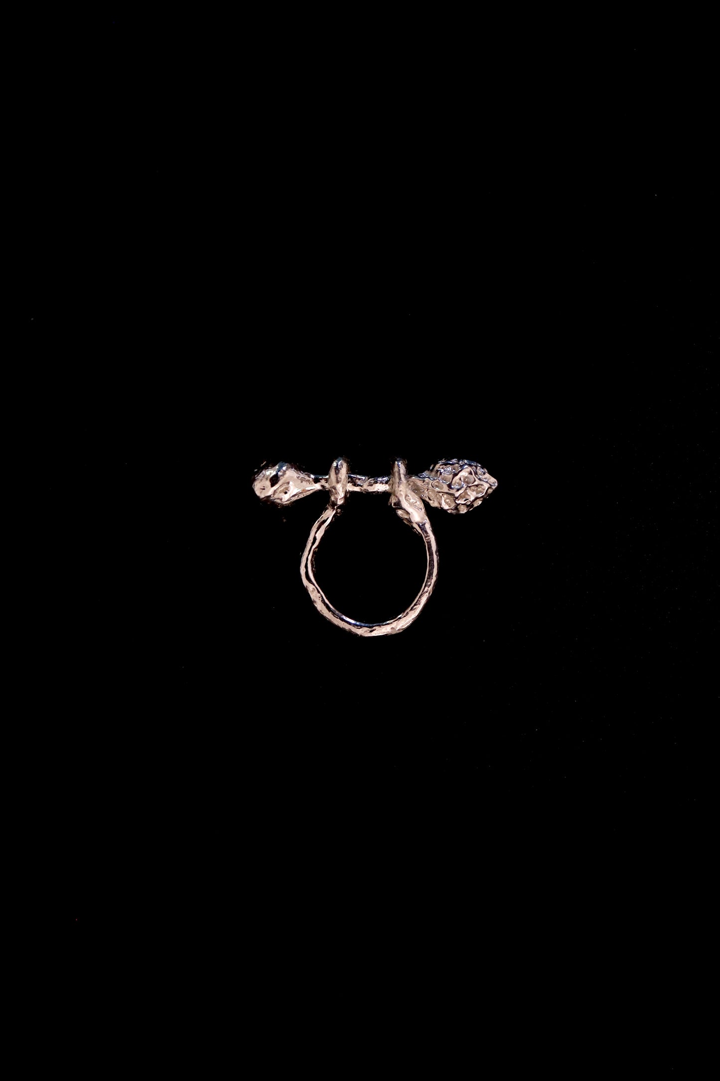 MOVING SPINE RING