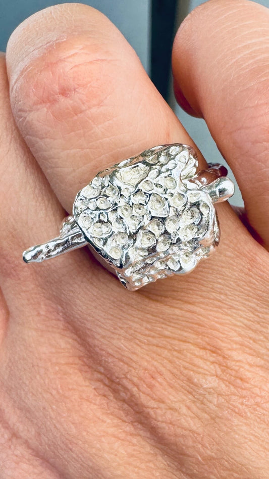 SPINNING RING